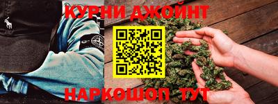 apvp Кингисепп