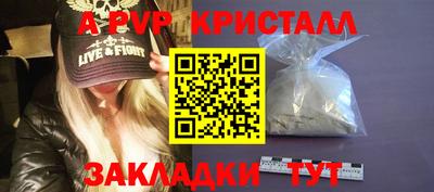 apvp Кингисепп