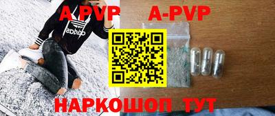 apvp Кингисепп